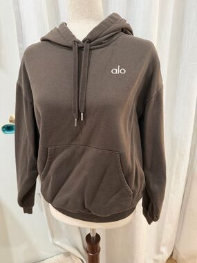ALO Yoga Cozy Pullover Hoodie in Chocolate Brown